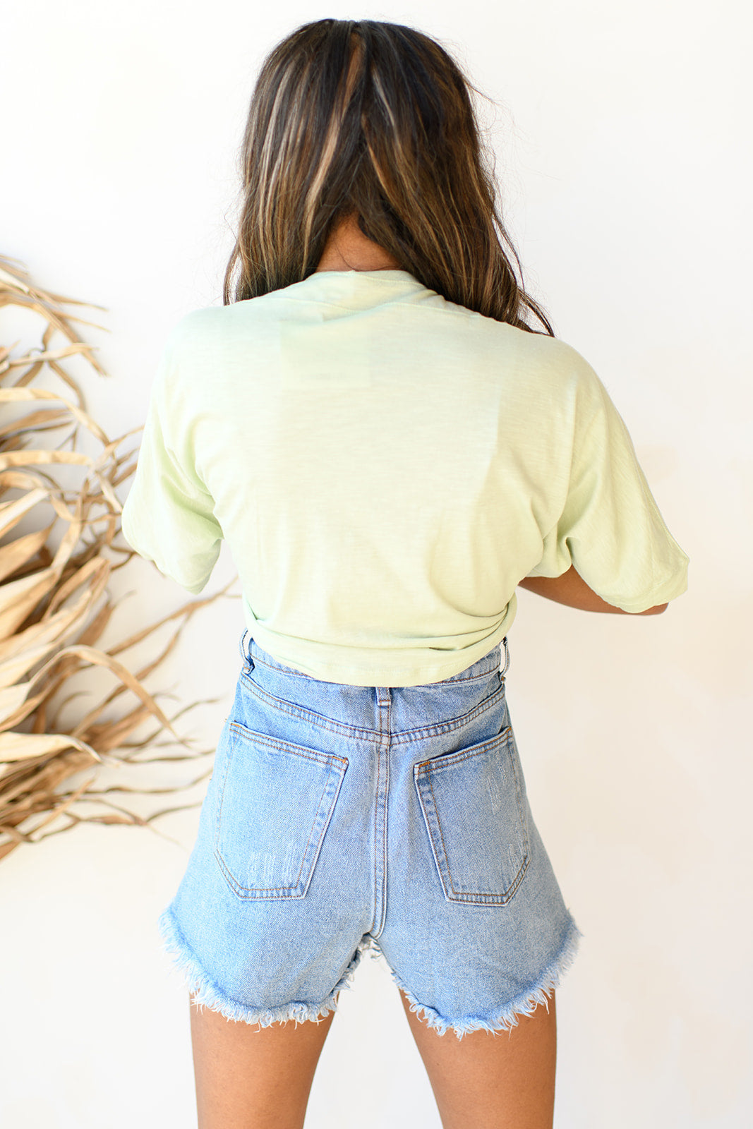 frayed hem denim shorts frayed hem denim shorts